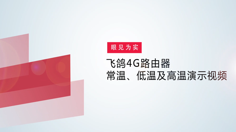 尊龙时凯飞鸽4G路由器常温、低温及高温演示视频